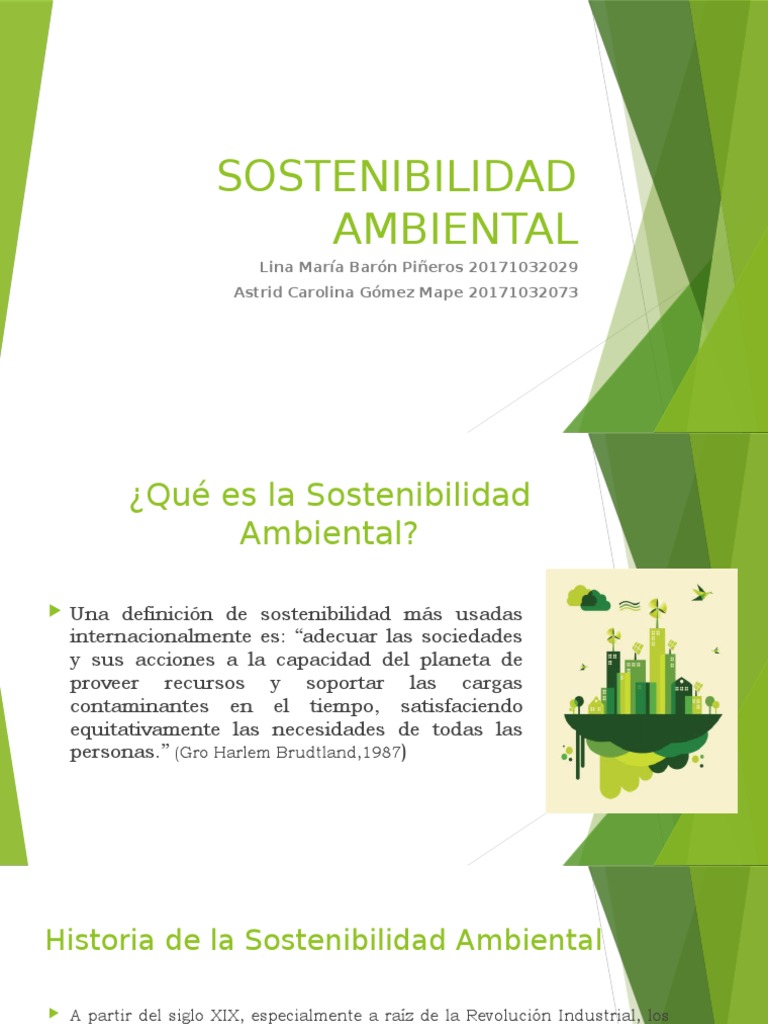 Definición y Retos de Sostenibilidad Ambiental | PDF | Sustentabilidad ...