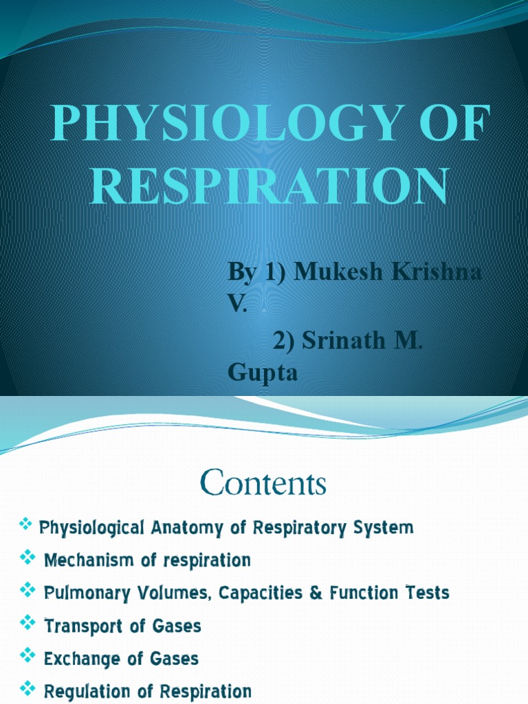 Physiology of Respiration Overview | PDF | Respiratory Tract ...