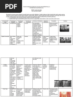 Klasifikasi Diagnosis Endodontik Berdasarkan AAE | PDF