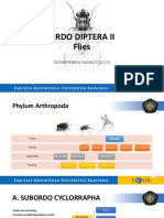 K10. Diptera II - Brachycerra, Cyclorrapha PDF