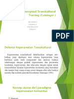 KLMPK 6 Model Transcultural Nursing