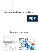 Aparatul Vestibular Si Echilibrul