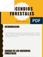 INCENDIOS FORESTALES Presentacion