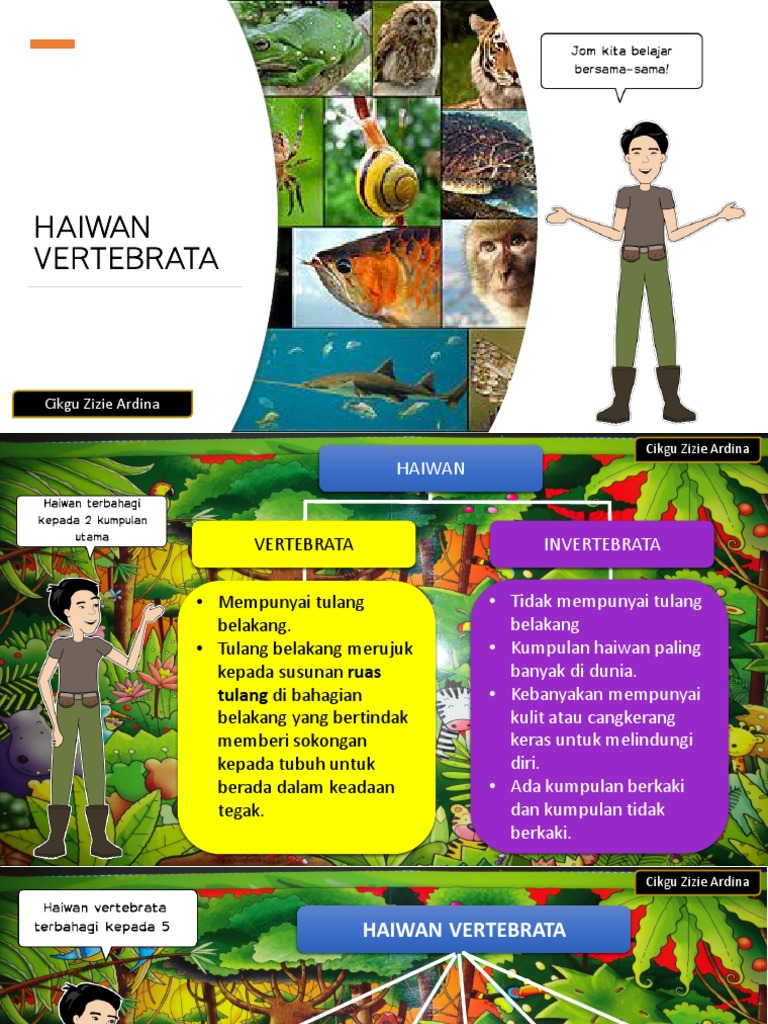 Haiwan Vertebrata Pdf Pdf