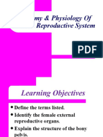 Female-Reproductive-System-2
