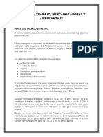 Perfil Del Trabajo, Mercado Laboral y Ambulantaje