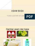 Asam Basa Magang 3