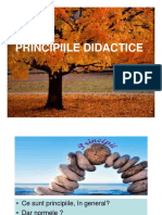 curs 5 Principii didactice.pdf