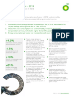 BP Stats Review 2019 Indonesia Insights