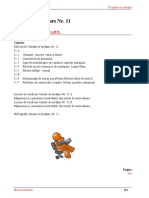 11.ocuparea Si Somajul - Unitate de Invatare - 11