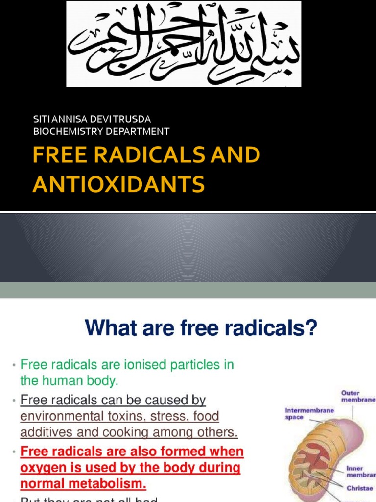Free Radicals and Antioxidant PDF Radical (Chemistry) Antioxidant