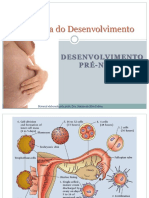 Desenvolvimento pré-natal