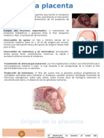 desarrollo placenta