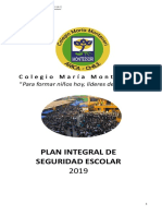 Pise Actualizado 2019 PDF