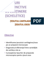 07.Tesuturi cartilaginos si osos_2019_site.pptx
