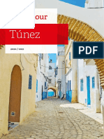 Tunezfolletoweb PDF