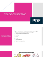 TEJIDO CONECTIVO: ESTRUCTURA Y FUNCIONES