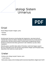 Histologi Sistem Urinarius