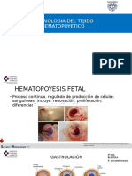 Embriologia Del Tejido Hematopoyetico