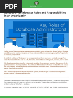 Database Administrator Roles & Responsibilities in An Organization PDF