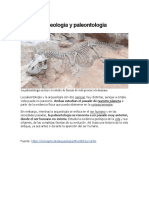 Arqueología y Paleontología