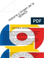 Historia y Origen de La SENADI