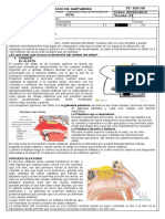 CCNN - 8 Guia N 25 Olfato