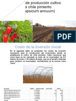 Costo de producción cultivo de chile pimiento.pptx