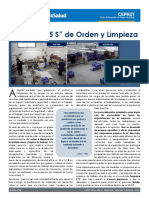 Programa 5 S.pdf