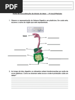 Ficha de consolidação dos Sistemas