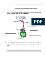 Ficha de Consolidação Dos Sistemas