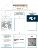 Mapa Conceptual DERECHOS