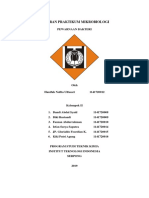 Pewarnaan Bakteri PDF
