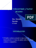 Ángulo Iridocorneal