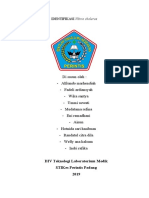 IDENTIFIKASI Vibrio Cholerae