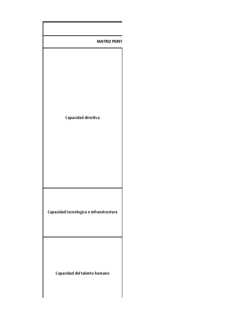 Evaluación de Capacidades Internas | PDF | Business | Economias