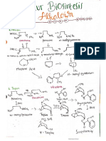 Struktur Biosintesis Alkaloida.pdf