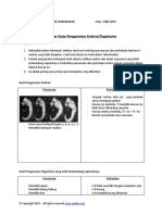 EmbryoFullyDevelopedOrganismsObservationsWorksheet - Indonesia-1