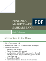 Pune Zila Madhyavarti Sahkari Bank: Credit Professional