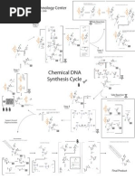 Chemical DNA Synthesis Chart