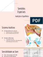 Cópia de Seminário Audição e Equilíbrio