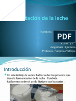 Procesos de Fermentación de La Leche - pptx3