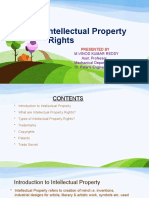 Intellectual Property Rights