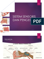 Sistem Indra PDF