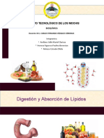 Digestion y Absorcion de Lipidos Exposicion 