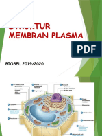 03 - Struktur Membran Plasma 2019 - 2020