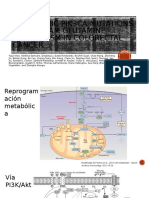 seminario PI3KA en cancer de colon [Autoguardado]