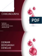 DBD & Chikungunya