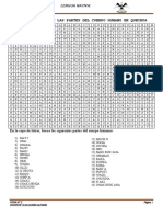 Partes Delcuerpo Humano Pupiletras