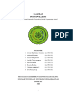 Tumor Williems Penyebab dan Faktor Risiko